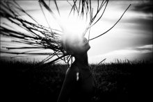 Sunny days / ***