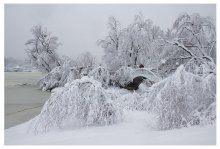 Morning in Kiev 2 / *******