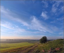 Morning New Day / ***