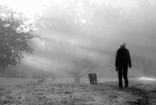 unusual walk / ***