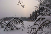 and it was winter / ******