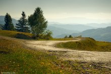 Brusilovsky tract / ***