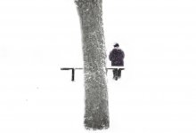 Snow and snow / ***