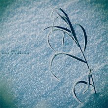 [2010. Bends cool time} / ***