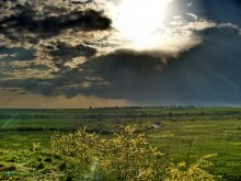 before the rain / ***