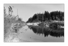 In peat bogs / ***