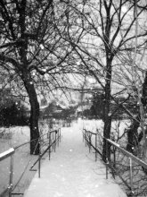 Welcome to winter / ***