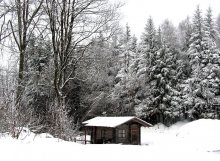 Bathhouse / ***