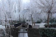 winter! / --------------------->