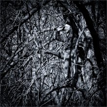 [ Tree Man ] / ***