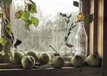 "... On the window in the bathhouse! (Antonovka):)" / ***