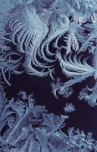 Ice Extravaganz / ......