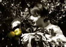 apples / ***