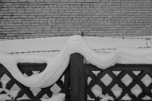 White and fluffy / .....