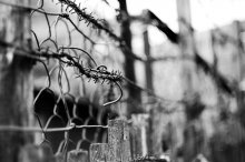 Over the edge .. / *******