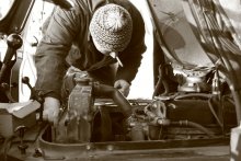 Working life / ...........