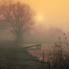Colors of the morning mist / ***