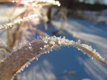 winter / ***