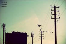 ]OUR SKY CITY[ / *****