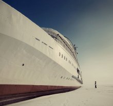 Wintering / ***