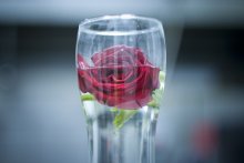 Glas / ***