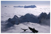 Dancing in the clouds / ***