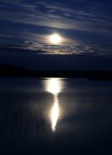 Silence / ***
