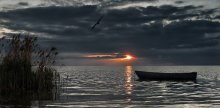 Silence / ***