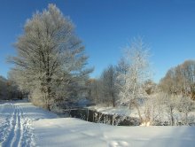Winter / ***