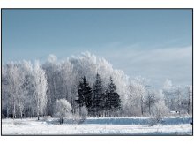Three sisters in the Kingdom of the Snow Queen / ***