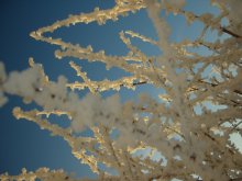 crackle / ***