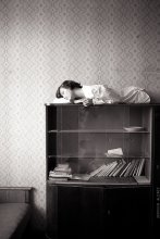 Fiction for the little lady / ***