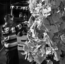 Wish Tree / ***
