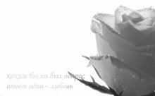 question / ***