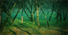 [ Green Morning ] / ***