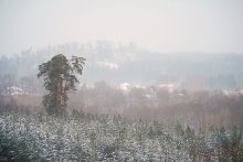 Winter watercolor / ....................