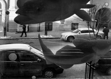 aquarium / *****