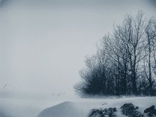 Winter / ***