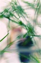 [ W E D D I N G ] / ***
