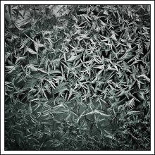 [...] u0026lt;Escher u0026lt;Doré u0026lt;Dürer / ***