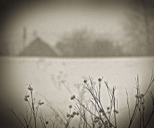 mist ... Part 3 / ***