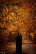 in rot / ***