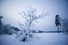 In pastoral lake / ***