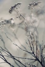 Winter / .........