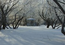 Winter etude / ***