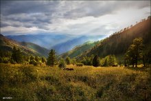 Sun Valley / ***