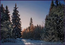 Abend in den Wald. / ***