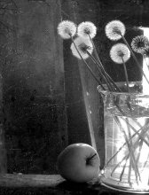 in the barn / .....