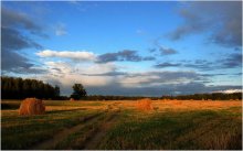 Long Road / ***