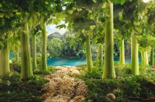 Pond in the woods / ***